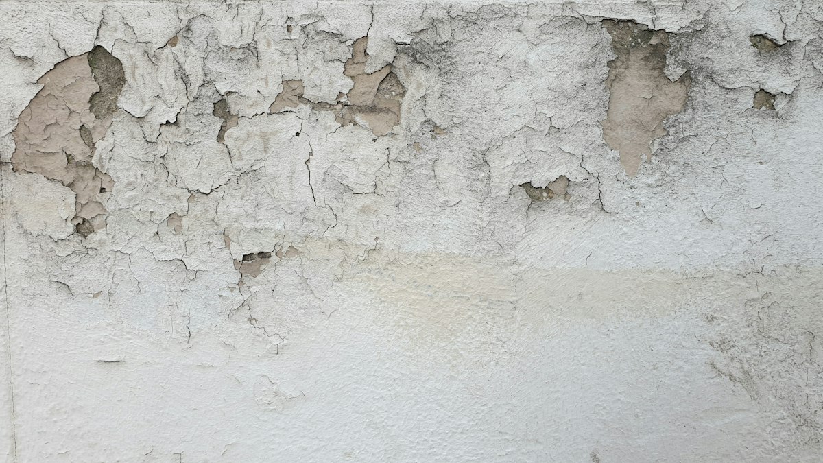 Humedad y pintura desconchada en una pared de una vivienda en Zamora